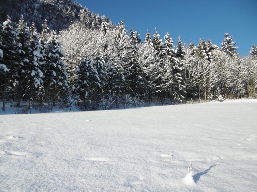 Ferienwohnung Zillertal Bacher Schlitters Exteriör bild